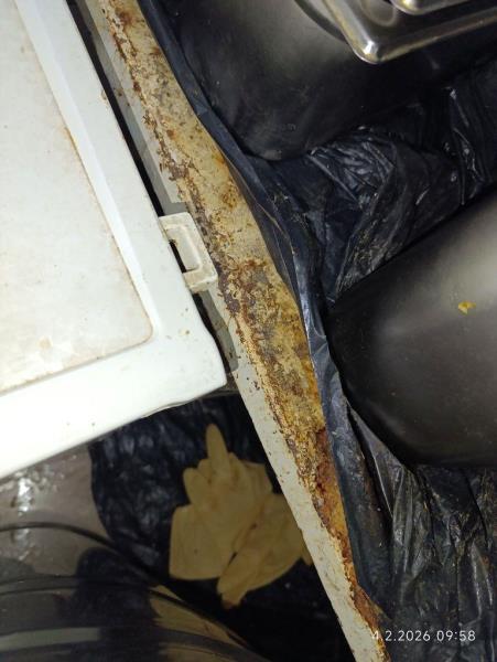 Ilustrační fotografie č. 4