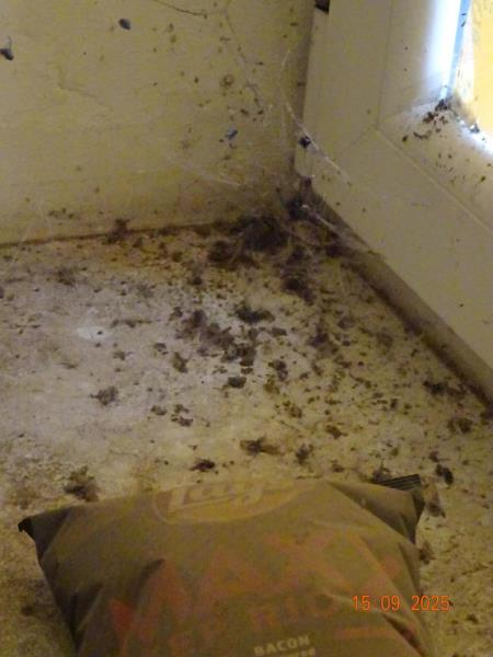 Ilustrační fotografie č. 10