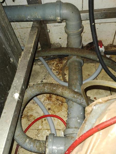 Ilustrační fotografie č. 15