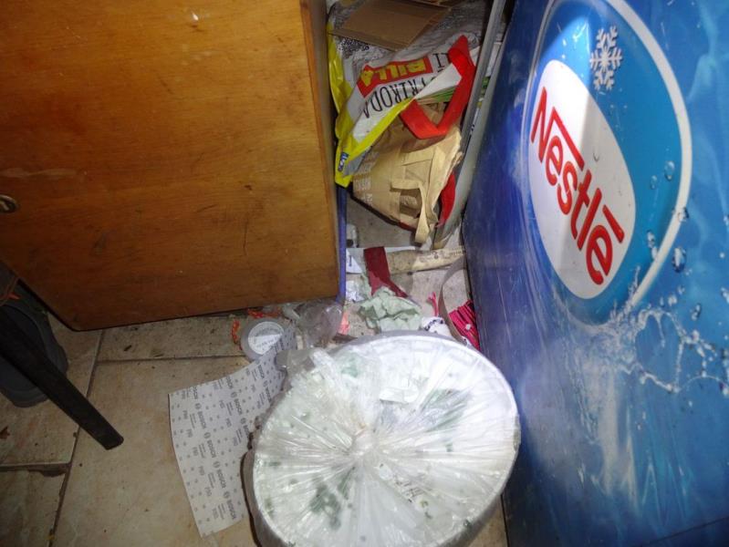 Ilustrační fotografie č. 7