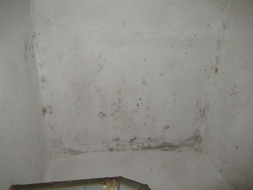 Ilustrační fotografie č. 10