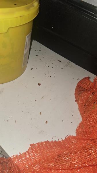 Illustrative photo no. 18