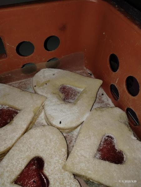 Ilustrační fotografie č. 13