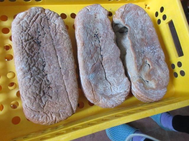 Ilustrační fotografie č. 2