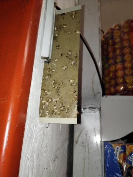 Ilustrační fotografie č. 10