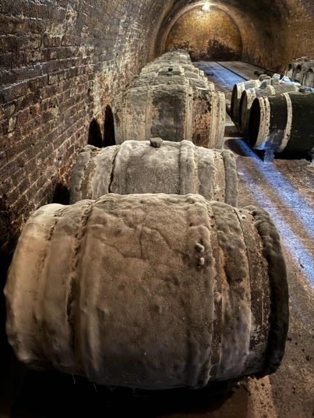 Ilustrační fotografie č. 3