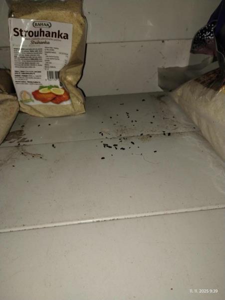 Ilustrační fotografie č. 11