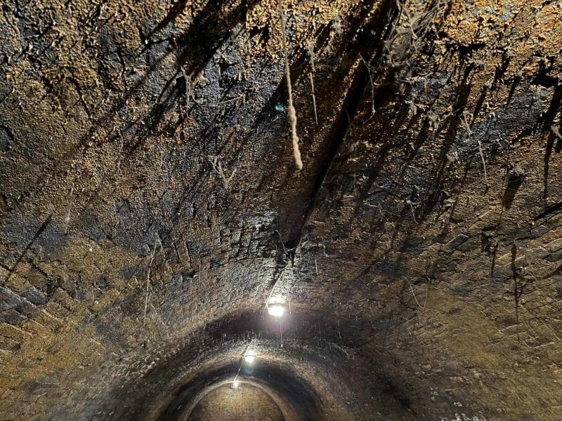 Ilustrační fotografie č. 18