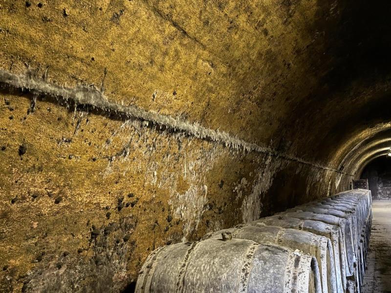 Ilustrační fotografie č. 23