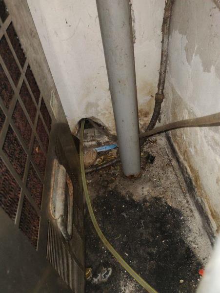 Ilustrační fotografie č. 4