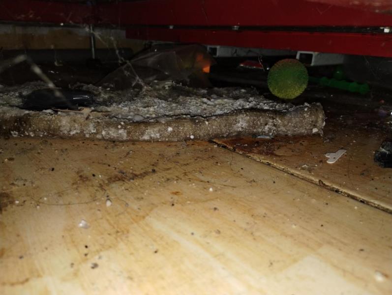 Ilustrační fotografie č. 16