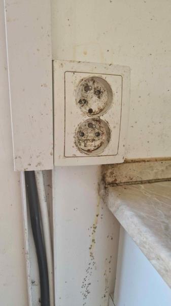 Ilustrační fotografie č. 12