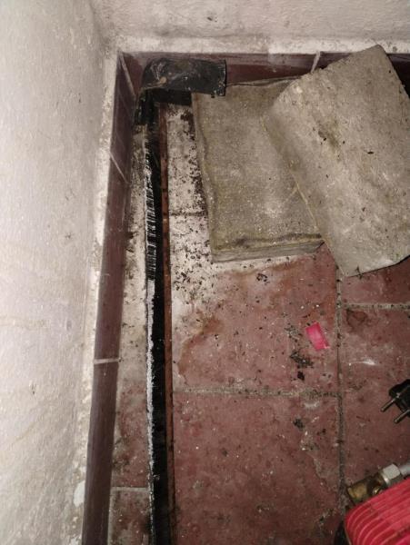 Ilustrační fotografie č. 16