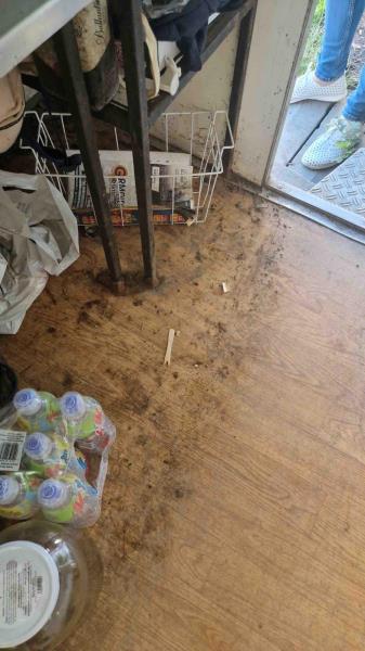 Ilustrační fotografie č. 19