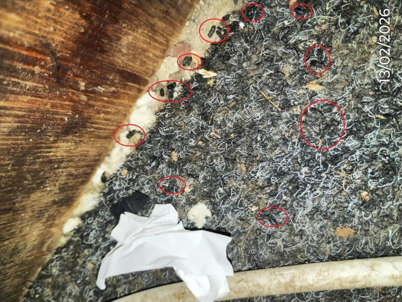 Ilustrační fotografie č. 16