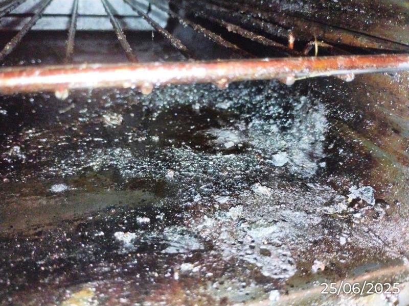 Ilustrační fotografie č. 4