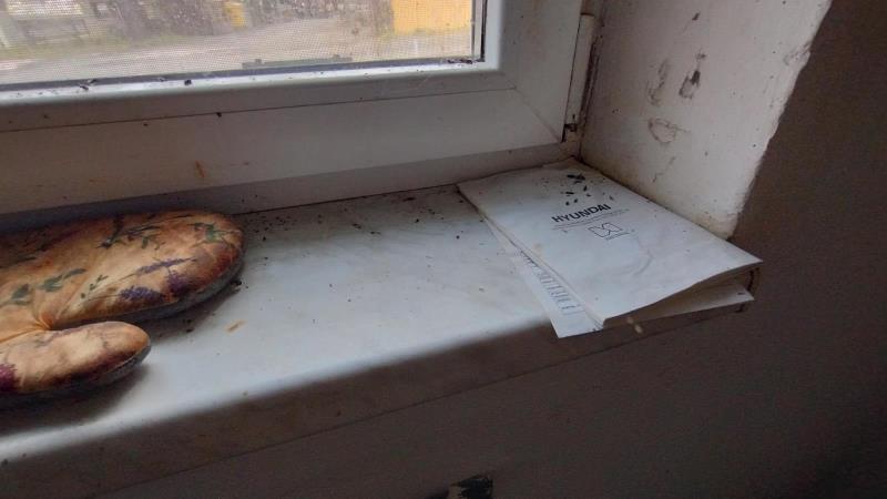 Ilustrační fotografie č. 10