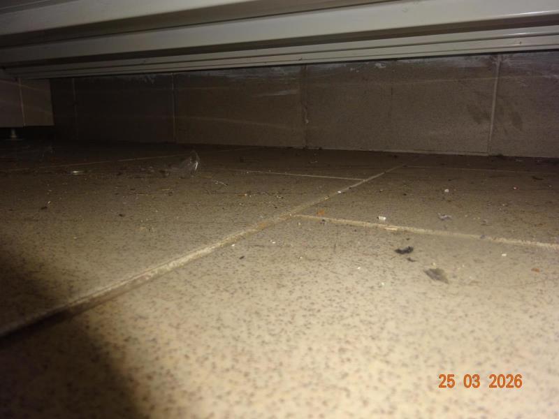 Ilustrační fotografie č. 15