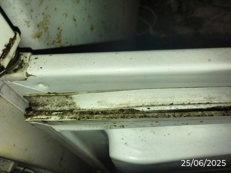 Ilustrační fotografie č. 5