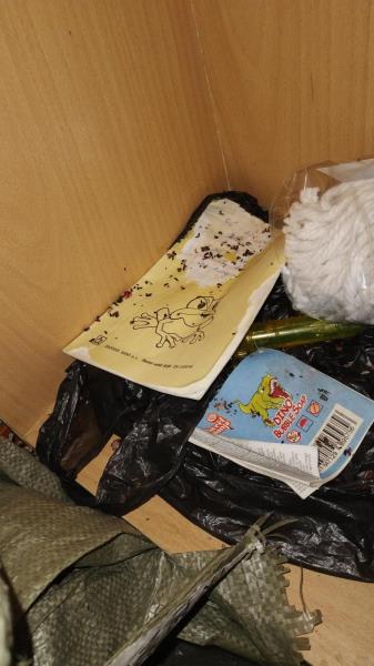 Illustrative photo no. 8