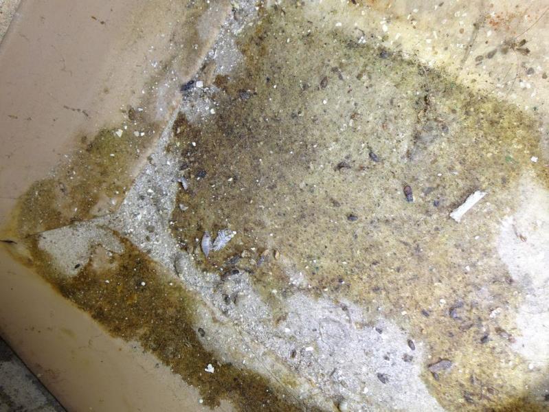 Ilustrační fotografie č. 10