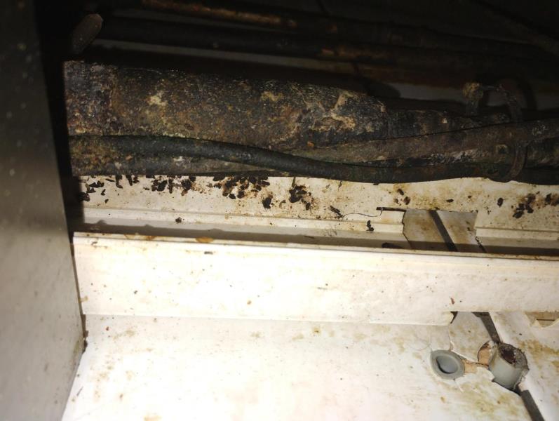 Ilustrační fotografie č. 3