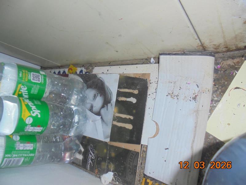 Ilustrační fotografie č. 13