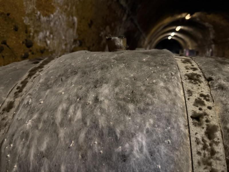 Ilustrační fotografie č. 13