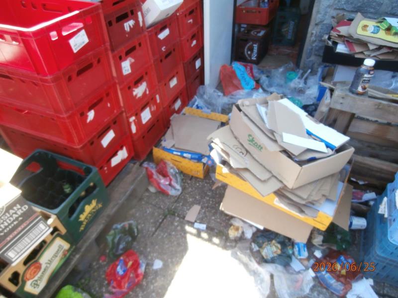 Illustrative photo no. 4