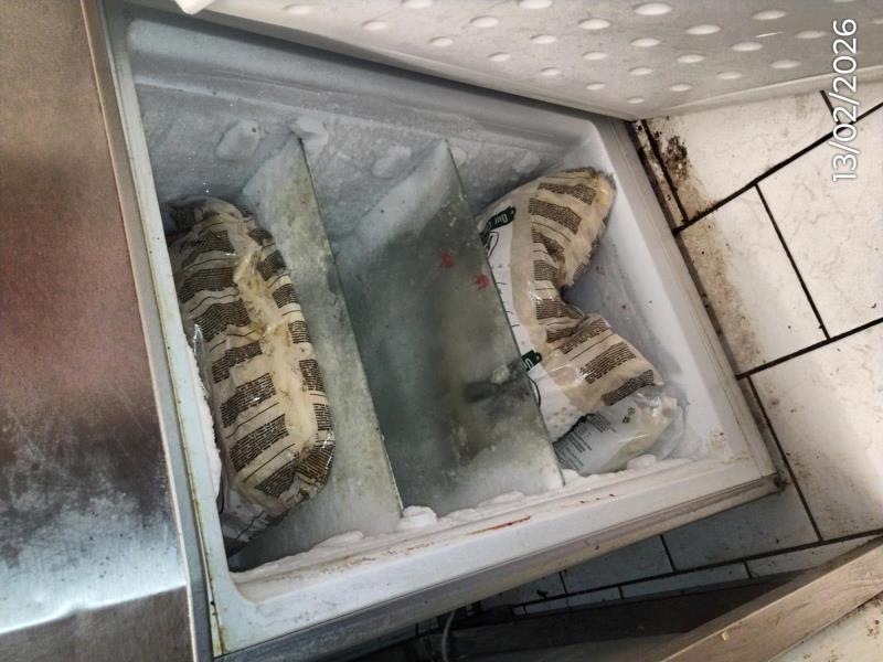 Ilustrační fotografie č. 2