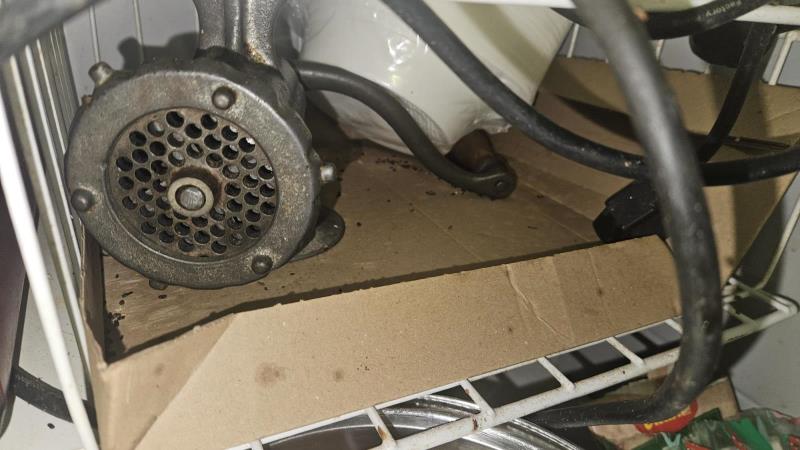 Illustrative photo no. 12