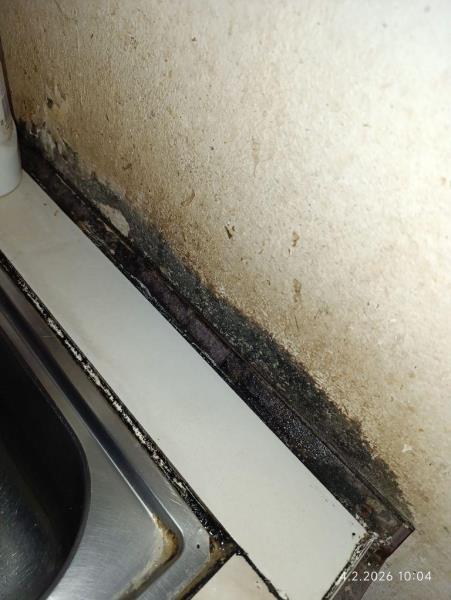 Ilustrační fotografie č. 12