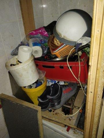 Illustrative photo no. 7