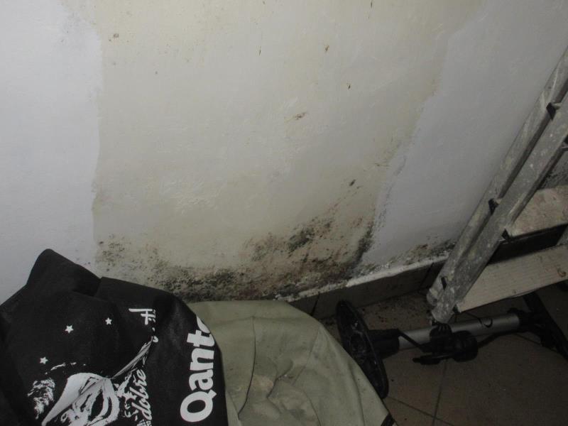 Illustrative photo no. 6