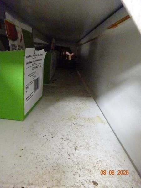 Ilustrační fotografie č. 15