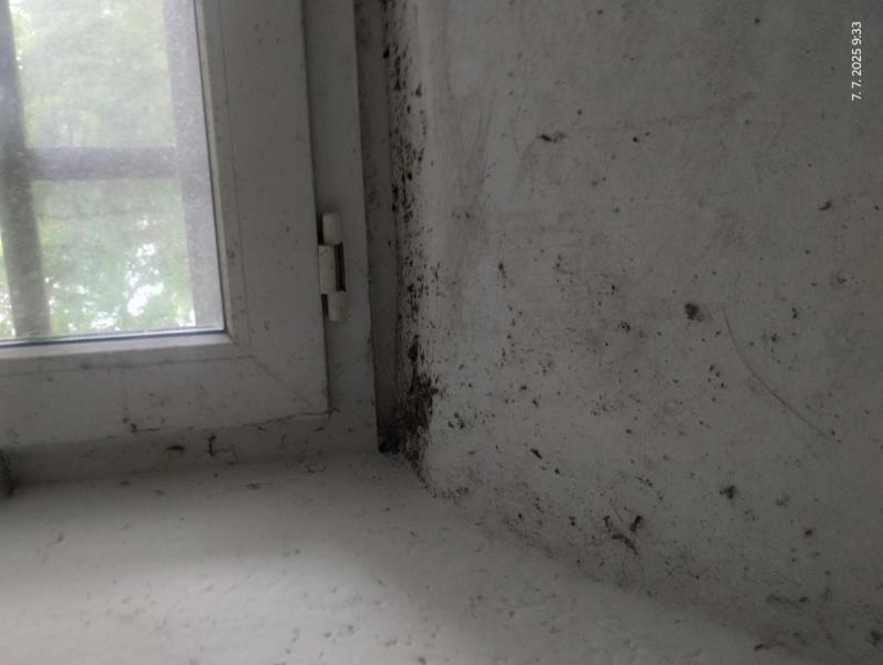 Ilustrační fotografie č. 17