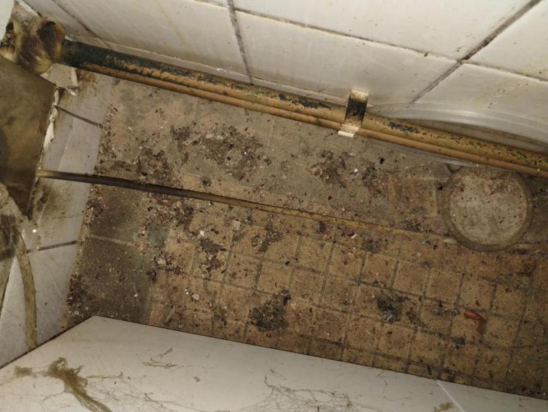 Ilustrační fotografie č. 8