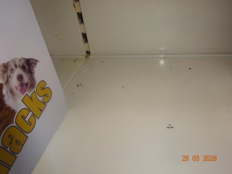 Ilustrační fotografie č. 13