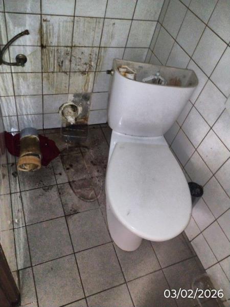 Ilustrační fotografie č. 20