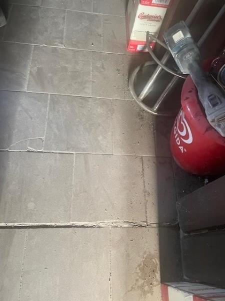 Ilustrační fotografie č. 7