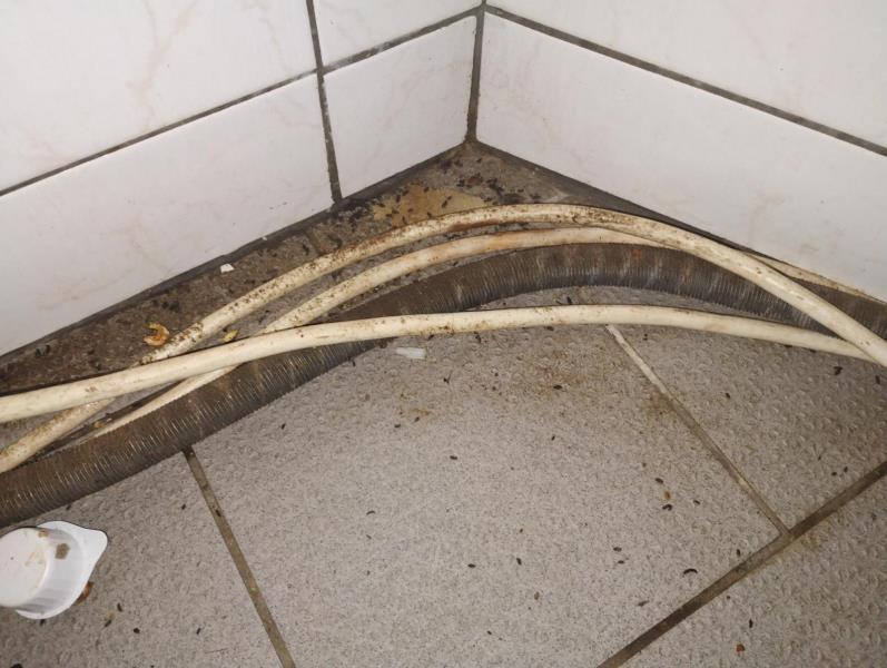 Ilustrační fotografie č. 5