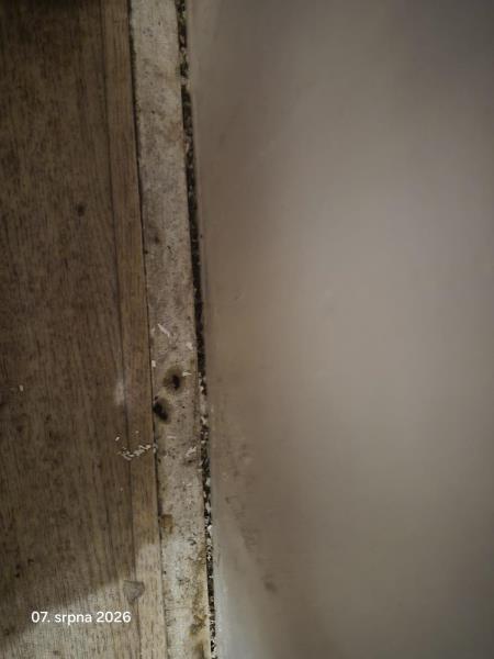 Illustrative photo no. 17