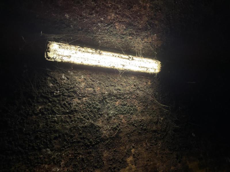 Ilustrační fotografie č. 28