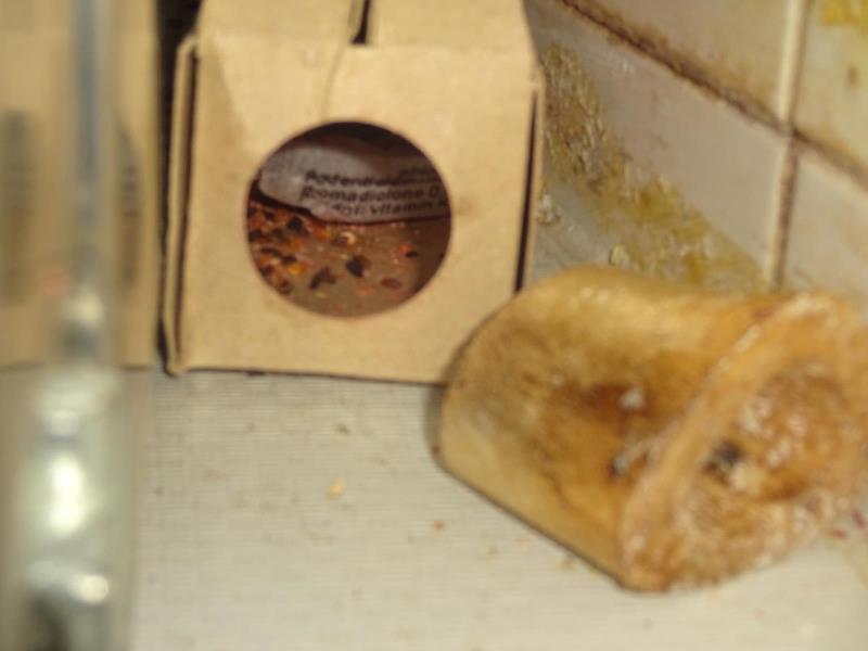 Ilustrační fotografie č. 7