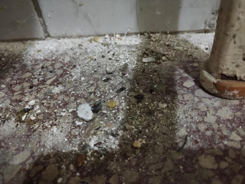 Ilustrační fotografie č. 3