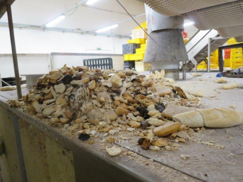 Ilustrační fotografie č. 16