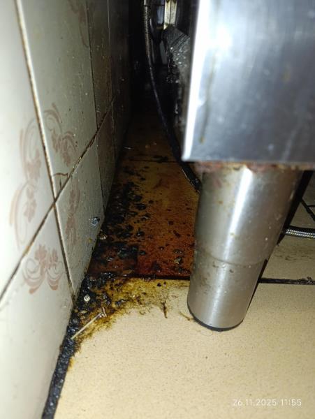 Ilustrační fotografie č. 6