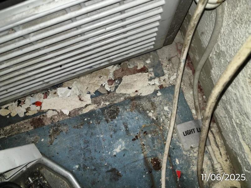Illustrative photo no. 12