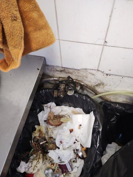 Ilustrační fotografie č. 7