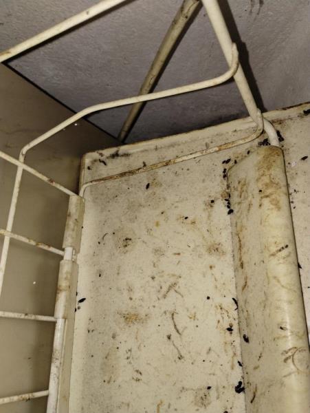 Ilustrační fotografie č. 17